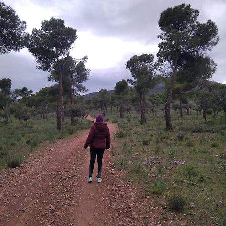 מדרידחוס Casa Rural Vega Alta מראה חיצוני תמונה